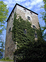 Burg Kaltenstein