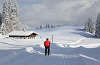 Langlaufen Bayerischer Wald