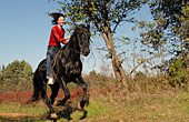 Reiten im Bayerischen Wald